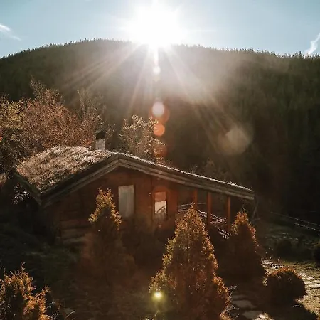 Villa панорама хаус и еко къщи дървена и землянка Leshten