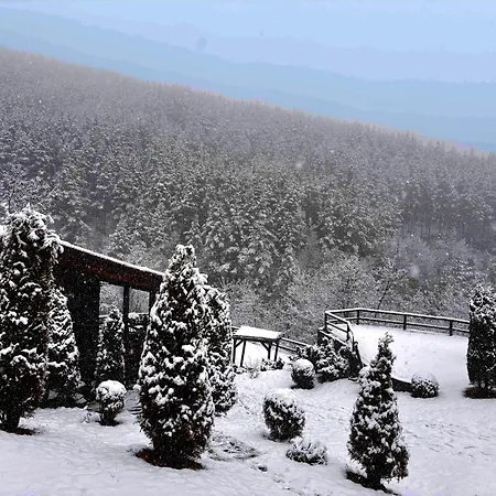 панорама хаус и еко къщи дървена и землянка Villa Leshten