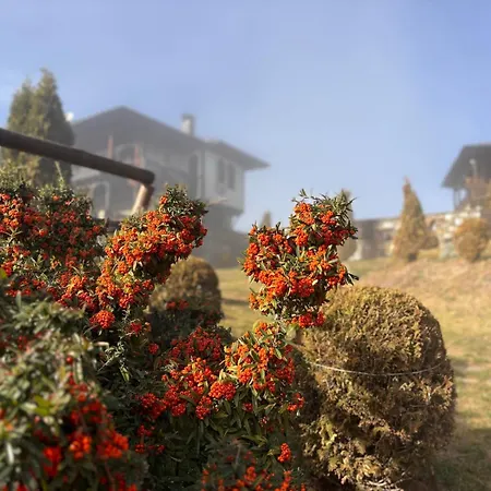 панорама хаус и еко къщи дървена и землянка Villa Leshten