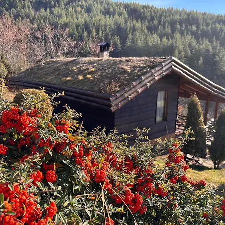 панорама хаус и еко къщи дървена и землянка Villa *