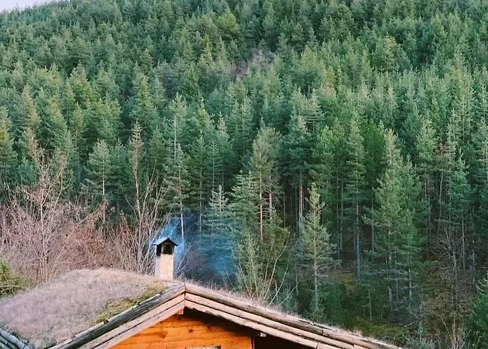 Villa панорама хаус и еко къщи дървена и землянка